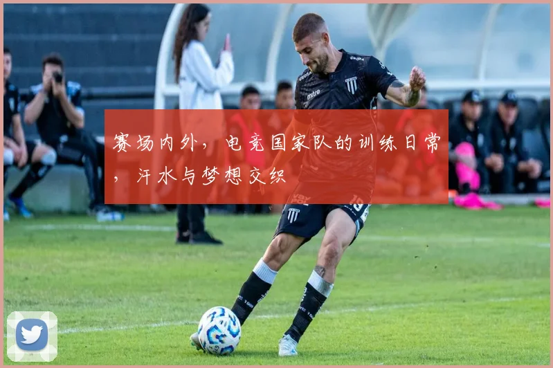 赛场内外，电竞国家队的训练日常，汗水与梦想交织